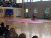 GMINNY CHARYTATYWNY BAL KARNAWAŁOWY W DZIERŻENINIE!
