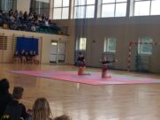GMINNY CHARYTATYWNY BAL KARNAWAŁOWY W DZIERŻENINIE!