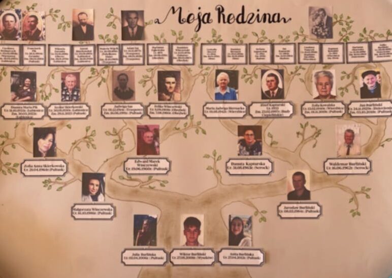 Drzewo genealogiczne.