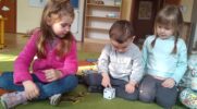 DZIEŃ MATEMATYKI W JEŻYKACH