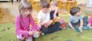 DZIEŃ MATEMATYKI W JEŻYKACH