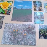 PRZEDSZKOLNY KONKURS FOTOGRAFICZNY