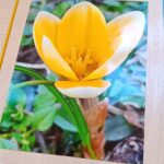 PRZEDSZKOLNY KONKURS FOTOGRAFICZNY