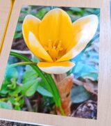 PRZEDSZKOLNY KONKURS FOTOGRAFICZNY