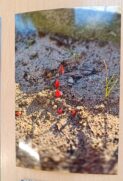 PRZEDSZKOLNY KONKURS FOTOGRAFICZNY
