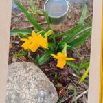 PRZEDSZKOLNY KONKURS FOTOGRAFICZNY