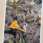 PRZEDSZKOLNY KONKURS FOTOGRAFICZNY