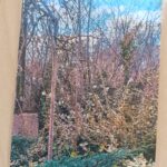 PRZEDSZKOLNY KONKURS FOTOGRAFICZNY