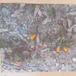 PRZEDSZKOLNY KONKURS FOTOGRAFICZNY