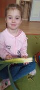 NAJZDROWSZY PROJEKT EDUKACYJNY „WITAMINKI”