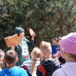 POZNAJEMY GATUNKI DRZEW