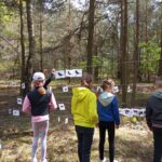 Warstwowa budowa lasu.