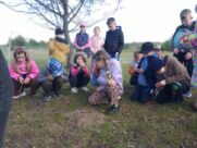 OSADA PRZYGODA