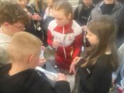 WORLD BOXING CUP: FELIKS STAMM, WARSAW 2025