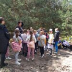 POZNAJEMY RÓŻNE GATUNKI DRZEW