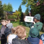 POZNAJEMY RÓŻNE GATUNKI DRZEW