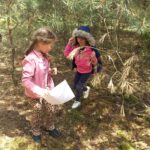 POSZUKIWANIE SKARBÓW LASU