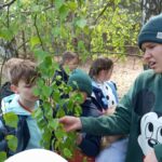 POZNAJEMY RÓŻNE GATUNKI DRZEW