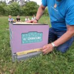 Warsztaty pszczelarskie