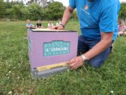 WARSZTATY PSZCZELARSKIE’25