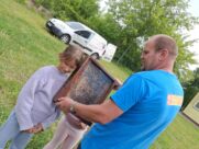 WARSZTATY PSZCZELARSKIE’25