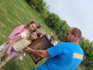 WARSZTATY PSZCZELARSKIE’25