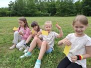 WARSZTATY PSZCZELARSKIE’25