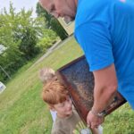 Warsztaty pszczelarskie