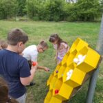 Warsztaty pszczelarskie