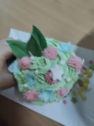 NOCOWANKA WOLONTARIUSZY’25