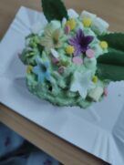 NOCOWANKA WOLONTARIUSZY’25