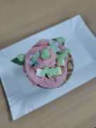 NOCOWANKA WOLONTARIUSZY’25