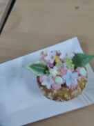 NOCOWANKA WOLONTARIUSZY’25