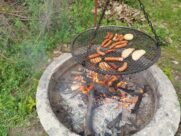 NOCOWANKA WOLONTARIUSZY’25