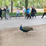 Zwiedzamy Łazienki Królewskie.