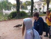 MINICITY, ŁAZIENKI KRÓLEWSKIE