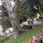 Zwiedzamy Łazienki Królewskie.