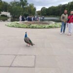 Zwiedzamy Łazienki Królewskie.