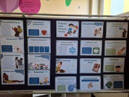 MIĘDZYNARODOWY DZIEŃ UDZIELANIA PIERWSZEJ POMOCY PRZEDMEDYCZNEJ