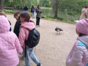 MINICITY, ŁAZIENKI KRÓLEWSKIE