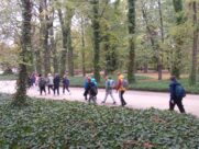 MINICITY, ŁAZIENKI KRÓLEWSKIE