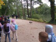 MINICITY, ŁAZIENKI KRÓLEWSKIE