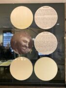 NIEWIDZIALNA WYSTAWA W WARSZAWIE